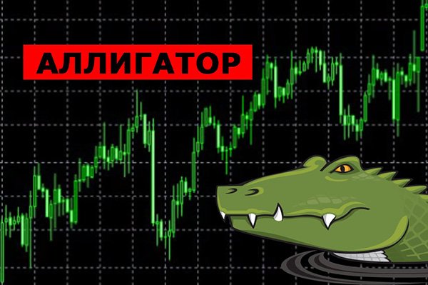 Стратегия Аллигатор для бинарных опционов форекс