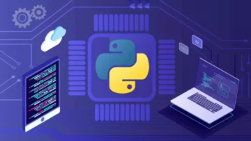 Язык программирования Python: С чего начать учить?